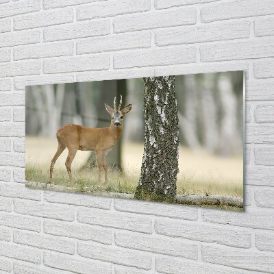 Quadro de vidro Floresta de veados
