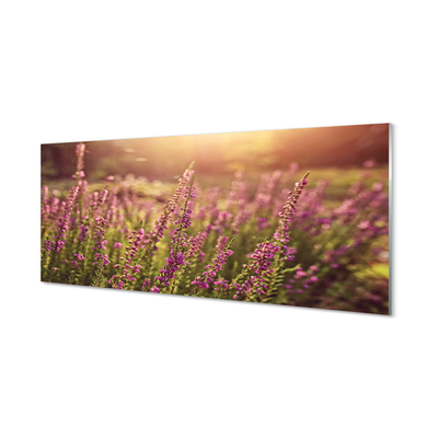 Pintura em vidro Campo de urze