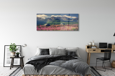 Pintura em vidro Montanhas, campos, casas