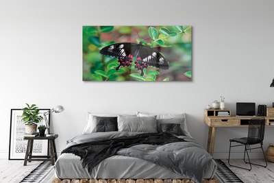 Pintura em vidro Folhas coloridas de borboletas