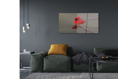 Pintura em vidro Papagaio vermelho em um galho