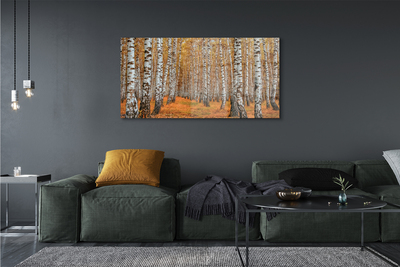 Quadro de vidro Árvores de outono