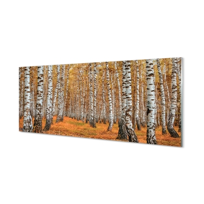 Quadro de vidro Árvores de outono