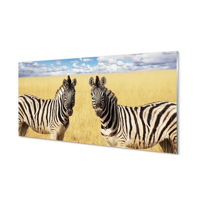 Quadro de vidro Campo de zebras