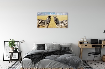 Quadro de vidro Campo de zebras