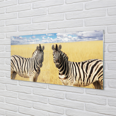 Quadro de vidro Campo de zebras