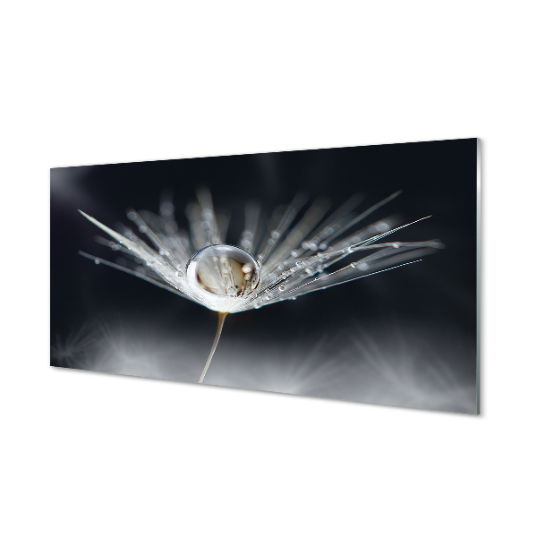 Quadro de vidro Macro de gota de dente-de-leão