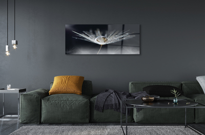 Quadro de vidro Macro de gota de dente-de-leão