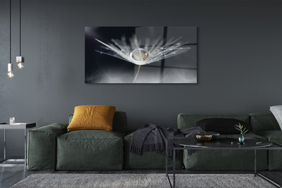 Quadro de vidro Macro de gota de dente-de-leão