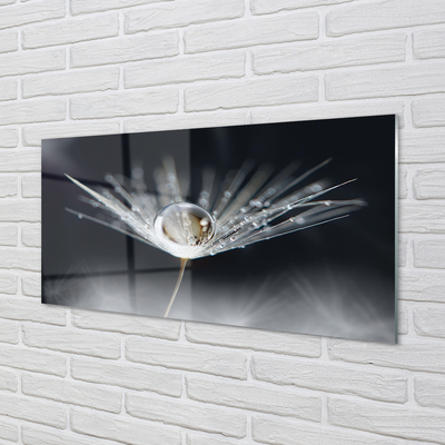 Quadro de vidro Macro de gota de dente-de-leão