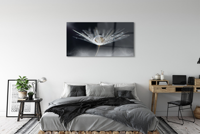 Quadro de vidro Macro de gota de dente-de-leão