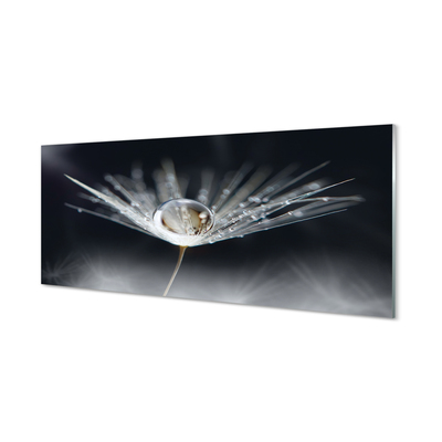 Quadro de vidro Macro de gota de dente-de-leão