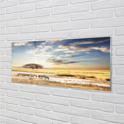 Quadro de vidro Árvore de nuvens de zebras