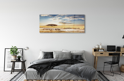 Quadro de vidro Árvore de nuvens de zebras