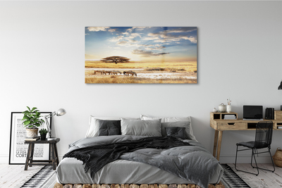 Quadro de vidro Árvore de nuvens de zebras