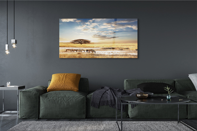 Quadro de vidro Árvore de nuvens de zebras