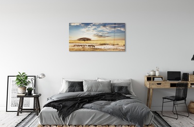 Quadro de vidro Árvore de nuvens de zebras