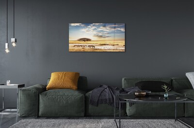 Quadro de vidro Árvore de nuvens de zebras