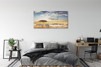 Quadro de vidro Árvore de nuvens de zebras