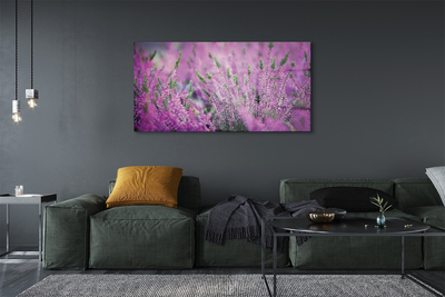 Pintura em vidro Campo de urze