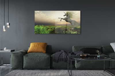 Quadro de vidro Campo de unicórnios