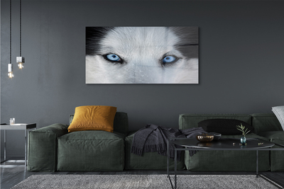 Quadro de vidro Olhos de lobo