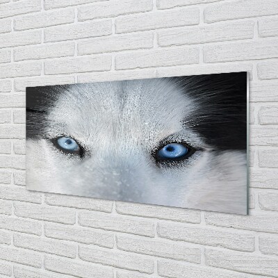 Quadro de vidro Olhos de lobo