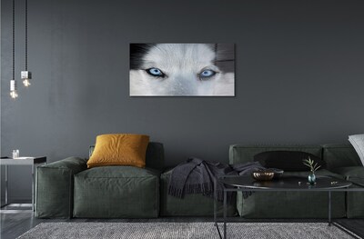 Quadro de vidro Olhos de lobo