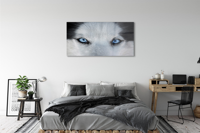 Quadro de vidro Olhos de lobo