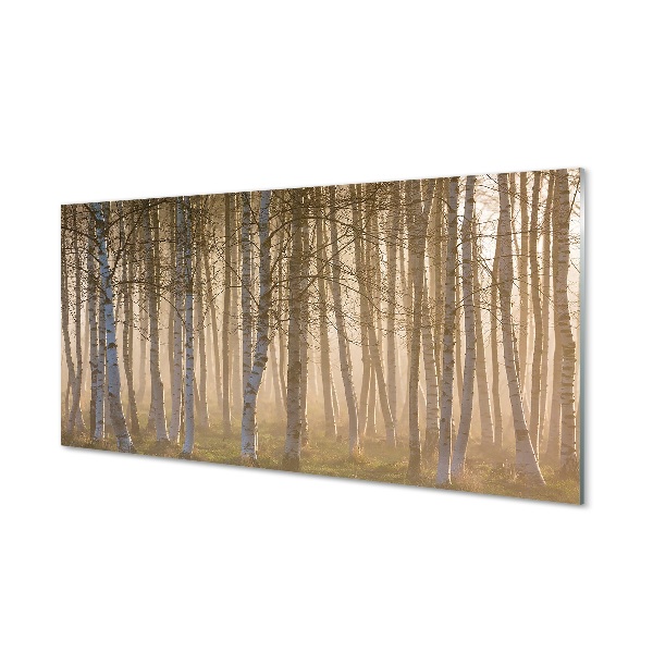 Quadro de vidro Árvores da floresta ao nascer do sol