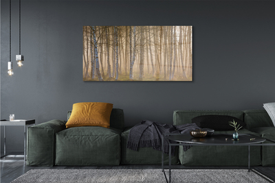 Quadro de vidro Árvores da floresta ao nascer do sol