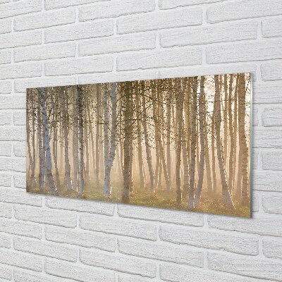 Quadro de vidro Árvores da floresta ao nascer do sol