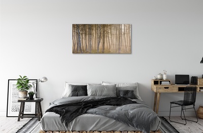 Quadro de vidro Árvores da floresta ao nascer do sol