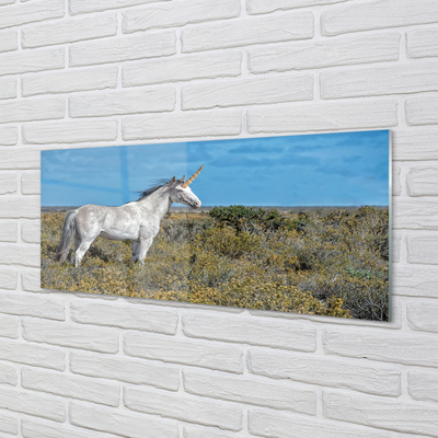 Quadro de vidro Campo de unicórnios