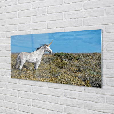 Quadro de vidro Campo de unicórnios