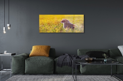 Pintura em vidro Gato de caça