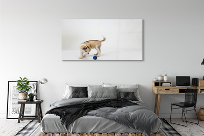 Pintura em vidro Um cachorro brincando