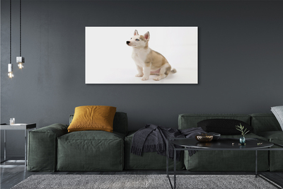 Quadro de vidro Cachorrinho sentado