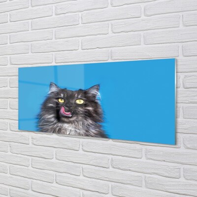 Quadro de vidro Um gato lambendo
