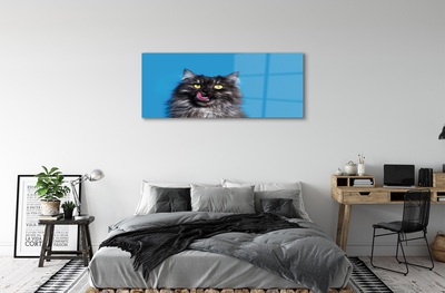 Quadro de vidro Um gato lambendo