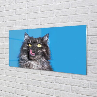 Quadro de vidro Um gato lambendo