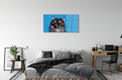 Quadro de vidro Um gato lambendo
