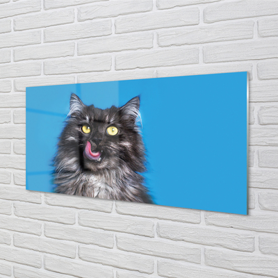 Quadro de vidro Um gato lambendo