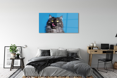 Quadro de vidro Um gato lambendo