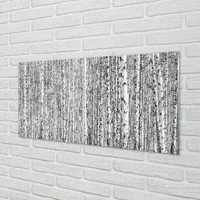 Quadro de vidro Árvores florestais em preto e branco