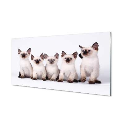 Quadro de vidro Gatinhos