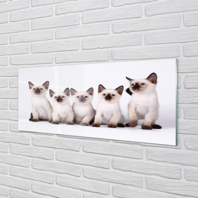 Quadro de vidro Gatinhos