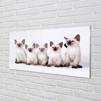 Quadro de vidro Gatinhos
