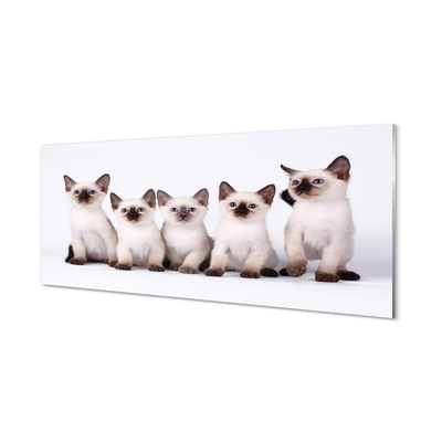 Quadro de vidro Gatinhos