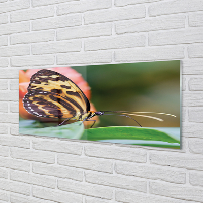 Quadro de vidro Borboleta